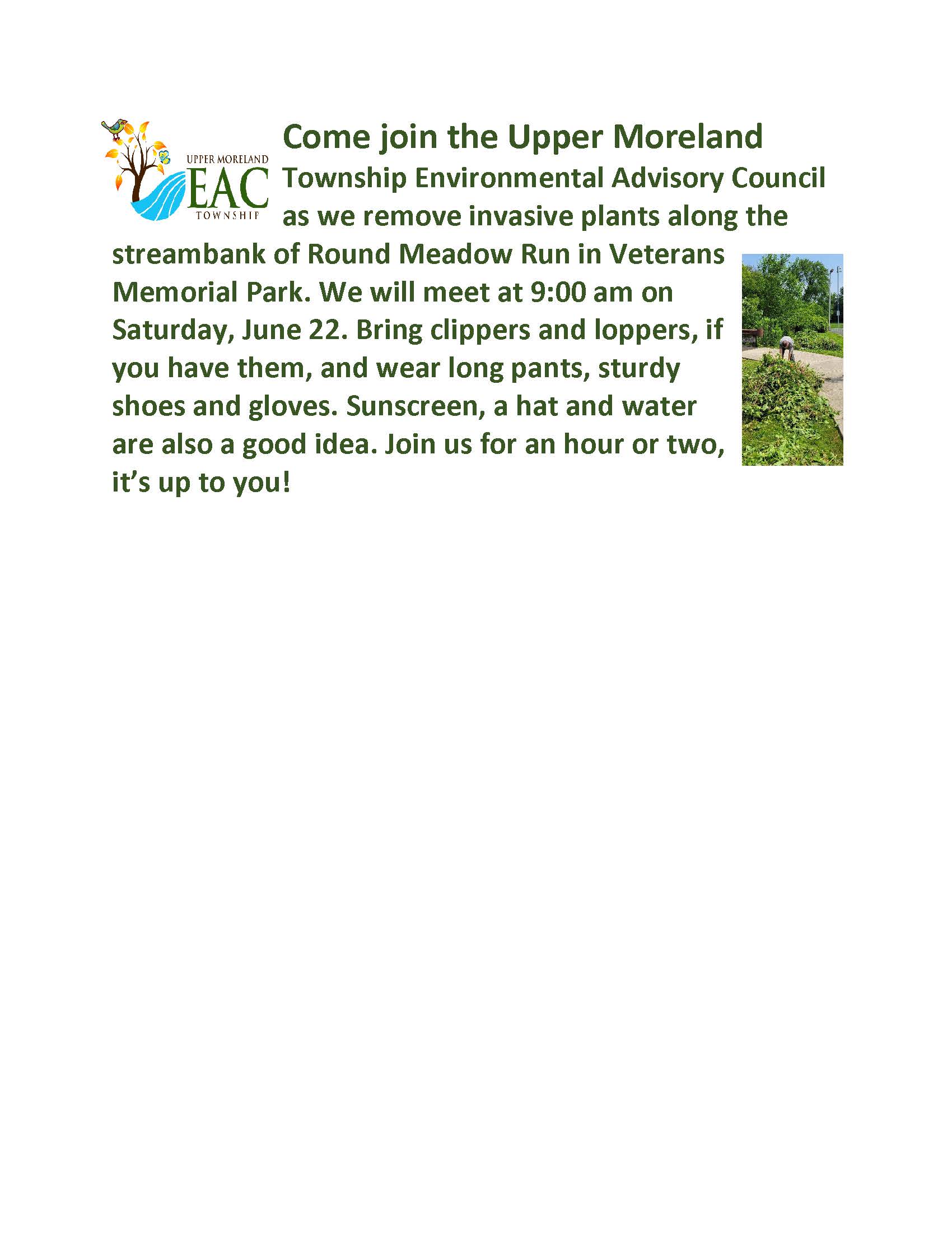 2024 6-22 Veterans Park invasive removal